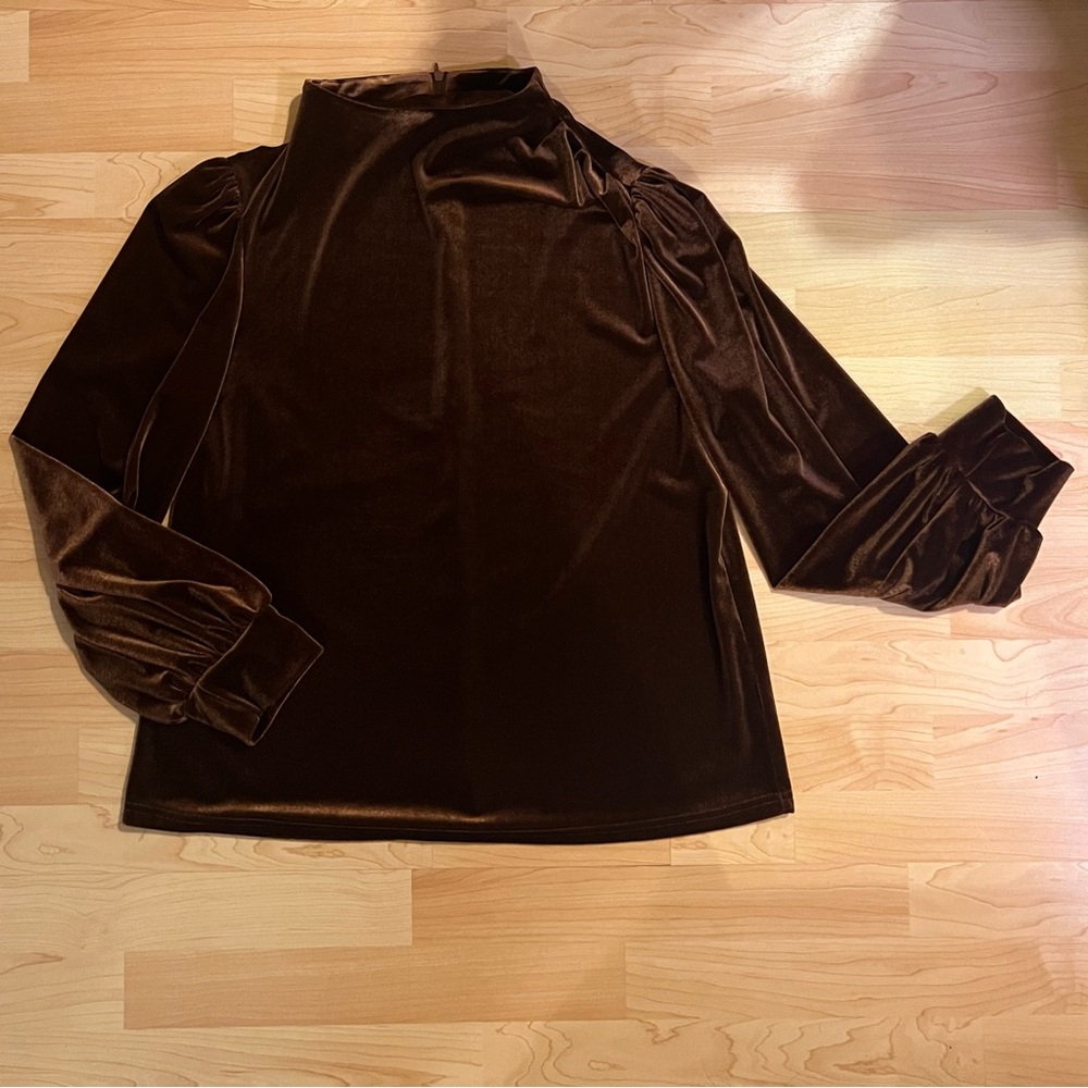 SHEIN velvet blouse - Picture 4 of 5